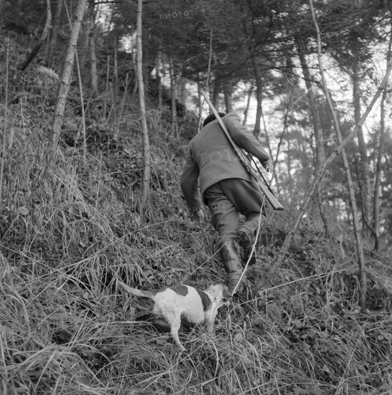 Christmas hunting, Greppen 1955: Hunter with dog