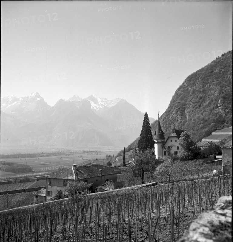 Yvorne 1946