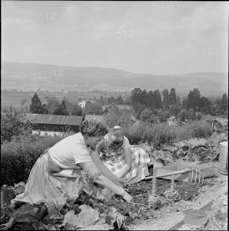Gardening at school for household, Uster 1956