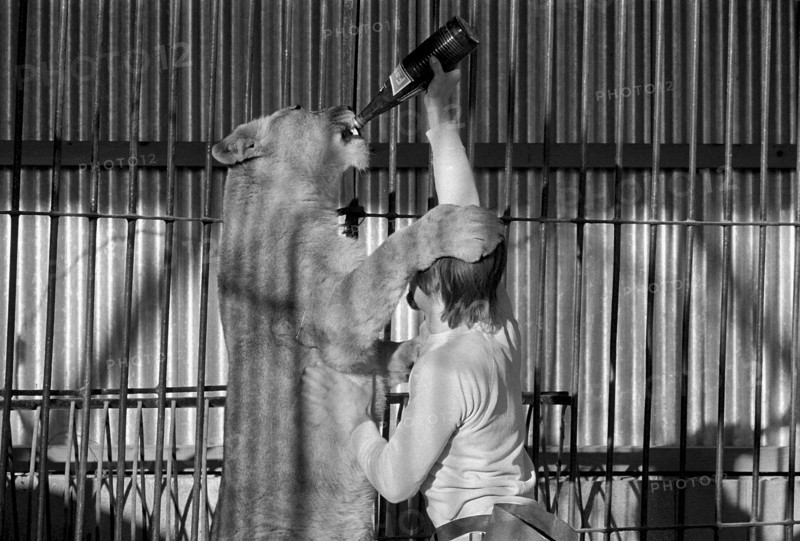 Animal tamer Rene Strickler, Romanshorn 1972