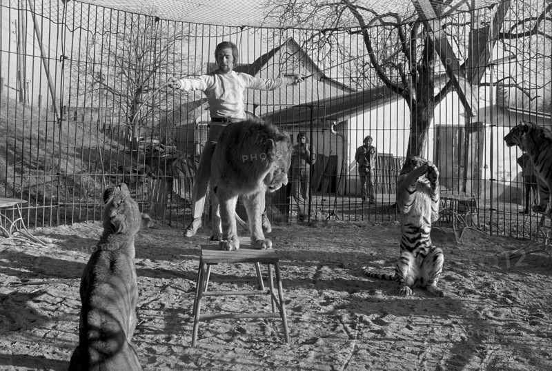Animal tamer Rene Strickler, Romanshorn 1972