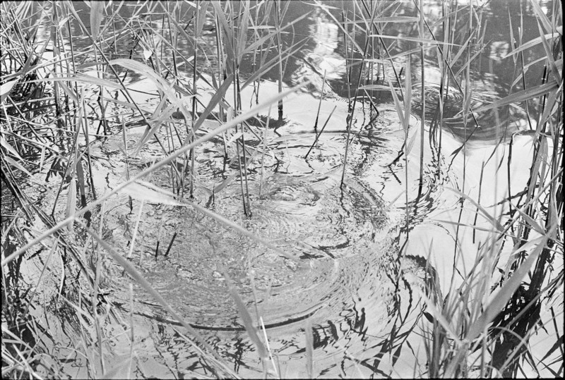 Reeds, 1970