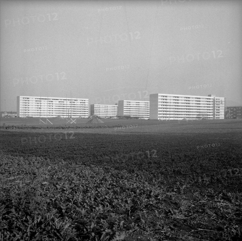 Tscharnergut, new built residential area in Berne Bumpliz 1959