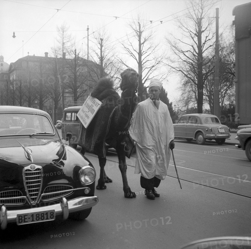 Placard advertising oriental carpet sale upon a camel in Berne 1956