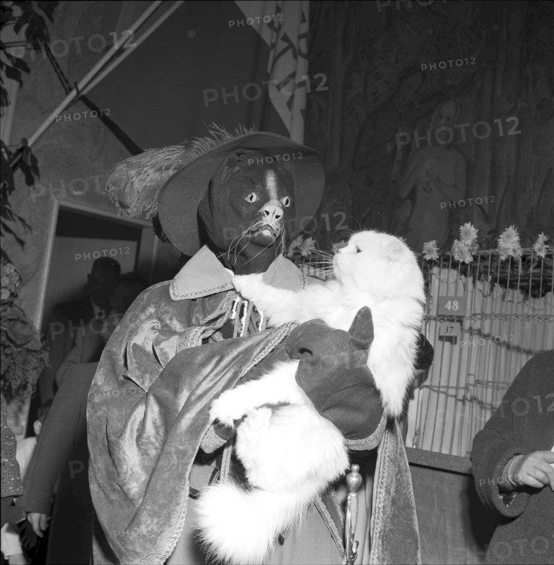 International cat exhibition Lausanne 1957