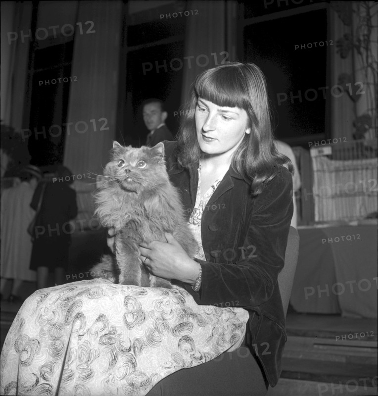 Woman with her blue persian cat, International cat exhibition Zurich 1946