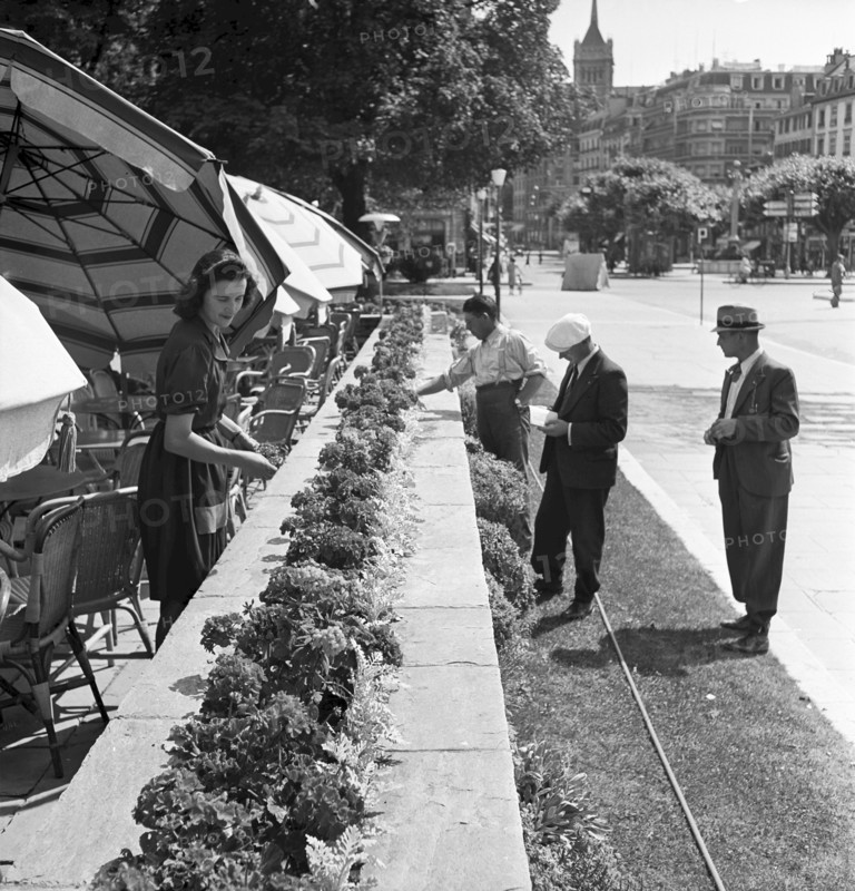 Jury members, Floral decoration contest in Geneva 1942