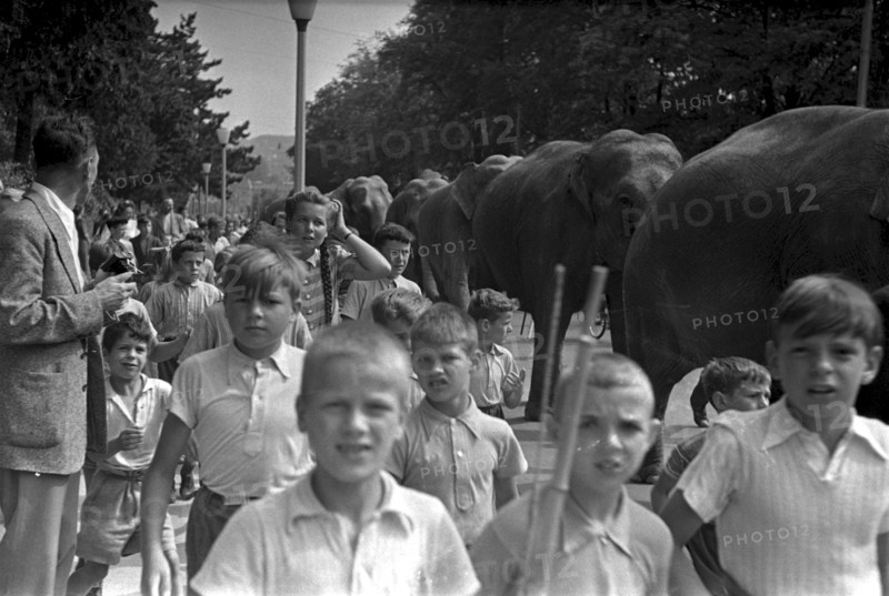 Children walking along with the parade of the elefants of Circus Knie through Zurich, 1944