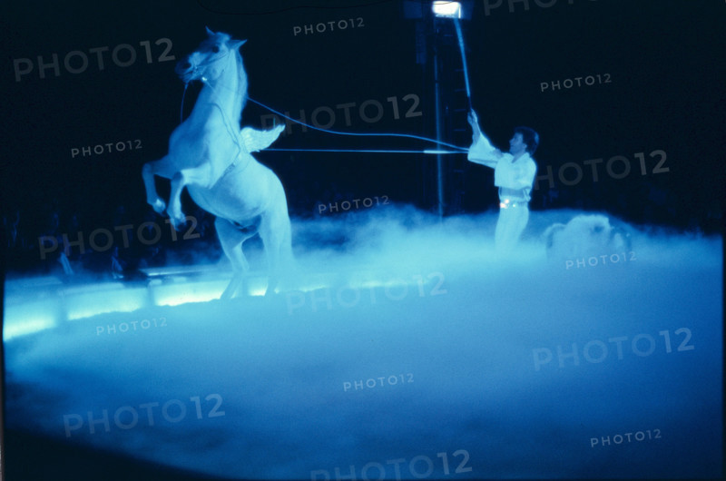 Circus Knie jubilee programme: celebration of 175 years of the dynasty and 60 years as official Swiss National Circus, 1978