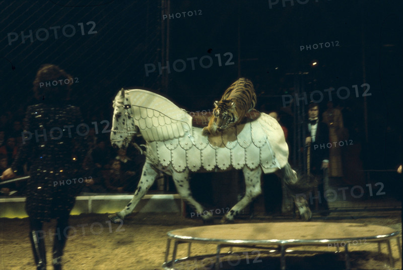 Circus Knie jubilee programme: celebration of 175 years of the dynasty and 60 years as official Swiss National Circus, 1978