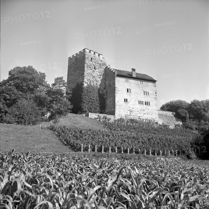 Habsburg Castle, 1952