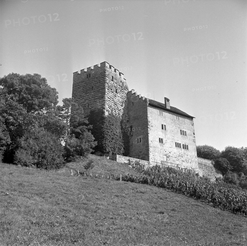 Habsburg Castle, 1952