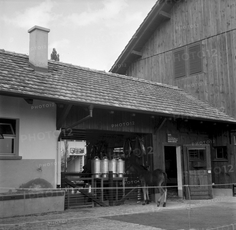 Strickhof, Zurich 1940