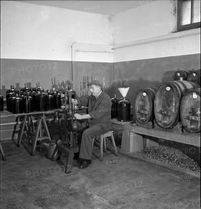 In the wine cellar of research institute for fruit and wine culture, Lausanne 2008