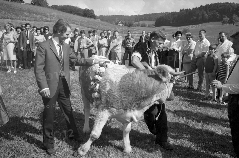 Floralp sales campaign, competition winner recieving a cattle, Burgdorf 1970