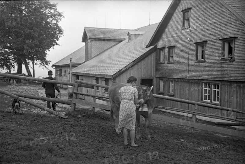 Horse breeding cooperative Lilienthal in village of Huttwilen, 1944
