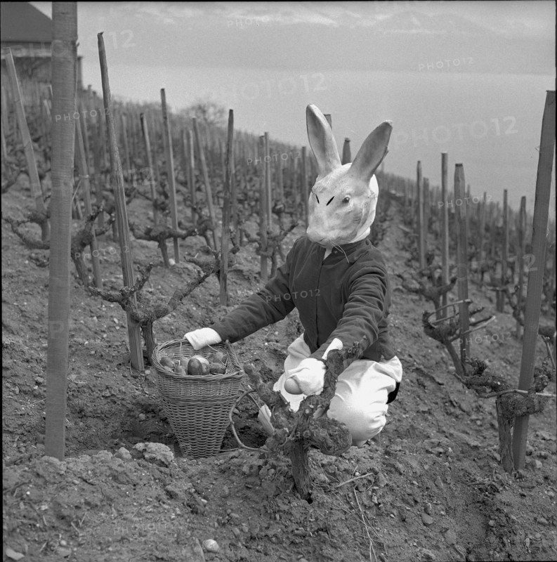 Visit of the Easter bunny in Grandvaux 1958