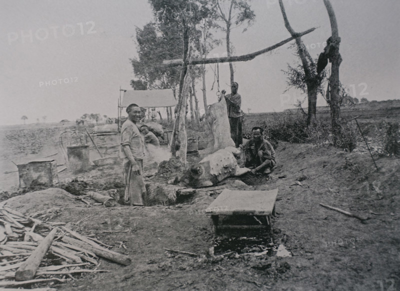 Preparing pig carcasses for the army Photo by Martynov