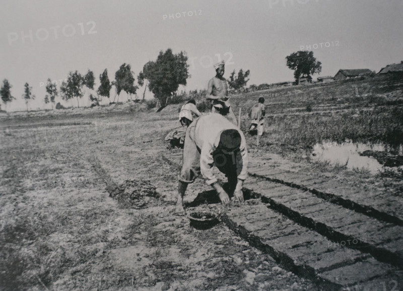 Brick making Photo by Martynov