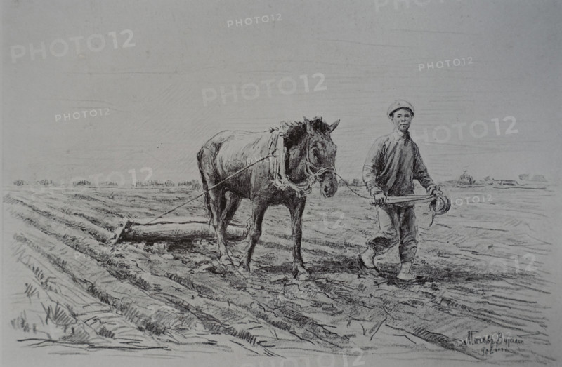 Cultivation of fields Vitaly Tikhov (1876-1939)