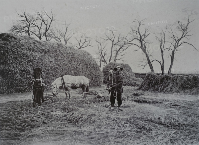 Harvesting grain Threshing Photo by Martynov