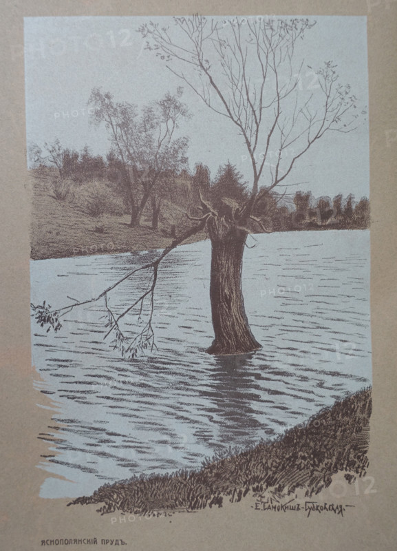 Pond in Yasnaya Polyana Drawing by Elena Petrovna Samokish-Sudkovskaya (1862-1924)