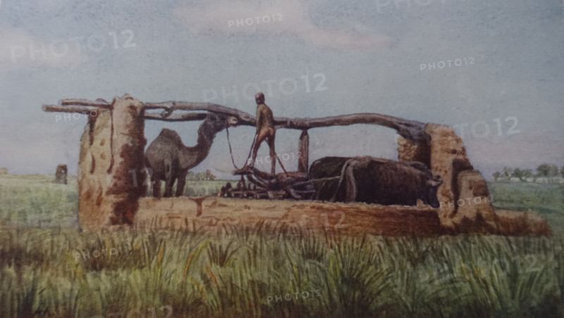 Theban Plain Illustration from the book ""In the Land of Amon-Ra Essays on Egypt"" Author AN Lvov