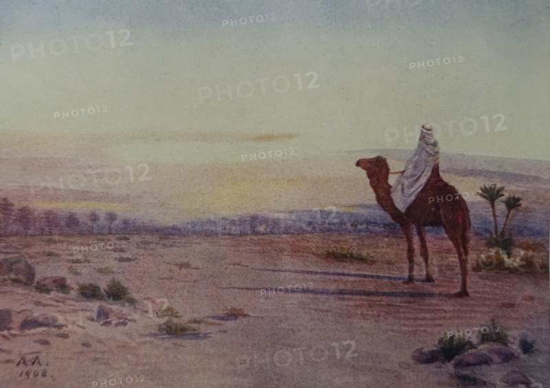 In the Arabian desert Illustration from the book ""In the Land of Amon-Ra Essays on Egypt"" Author AN Lvov 1911