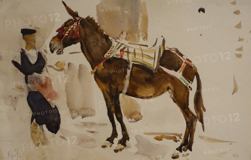 Mule 1907 Serov Valentin (1865-1911) Watercolour and whitewash on paper