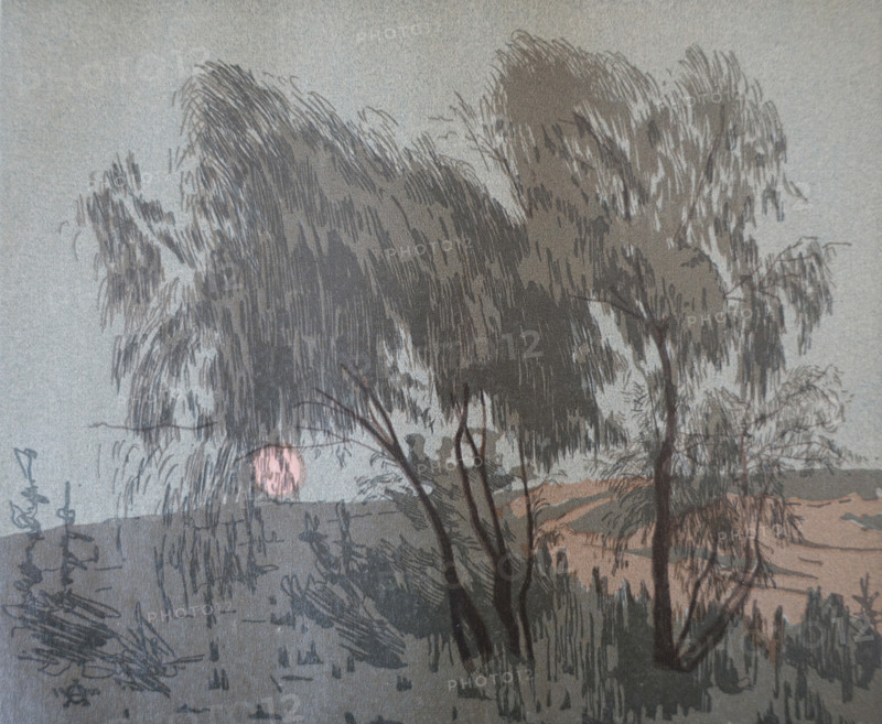 Illustration from the album Ostroumova-Lebedeva Anna Petrovna (1871-1955) 1924