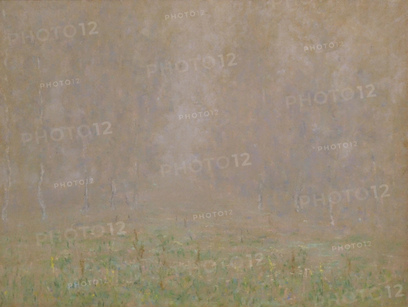 Birch trees in fog Early 1900s Viktor Elpidiforovich Borisov-Musatov (1870-1905)