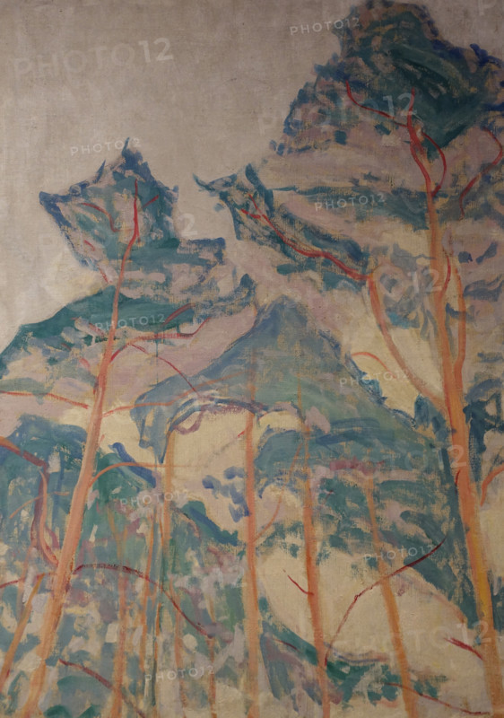 Pine Trees Oranienbaum 1911 Mikhail Vasilyevich Matyushin (1861-1934)