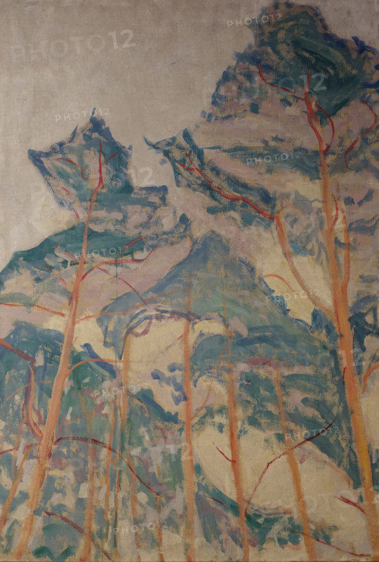 Pine Trees Oranienbaum 1911 Mikhail Vasilyevich Matyushin (1861-1934)