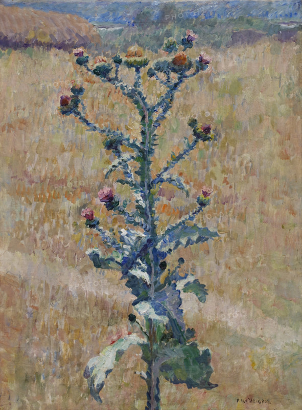Steppe Burdock 1933 Mashkov Ilya Ivanovich (1881-1944)
