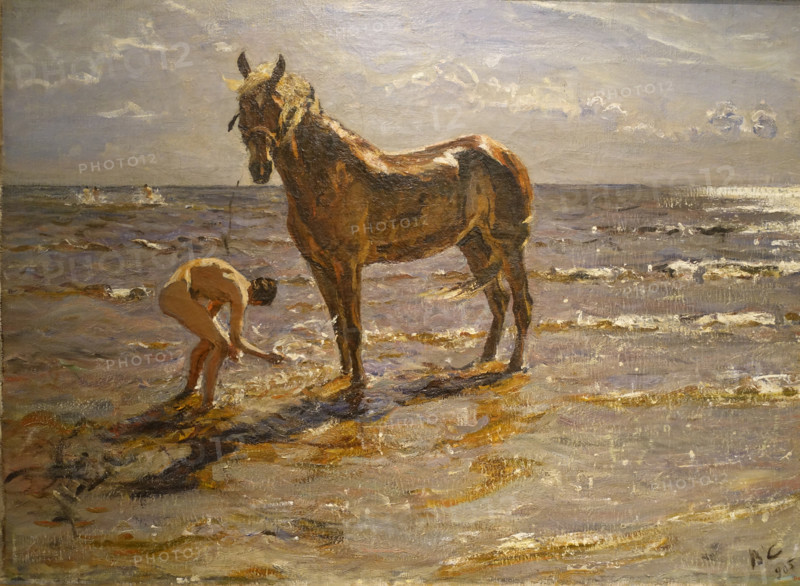 Bathing a Horse 1905 Valentin Aleksandrovich Serov (1865-1911)