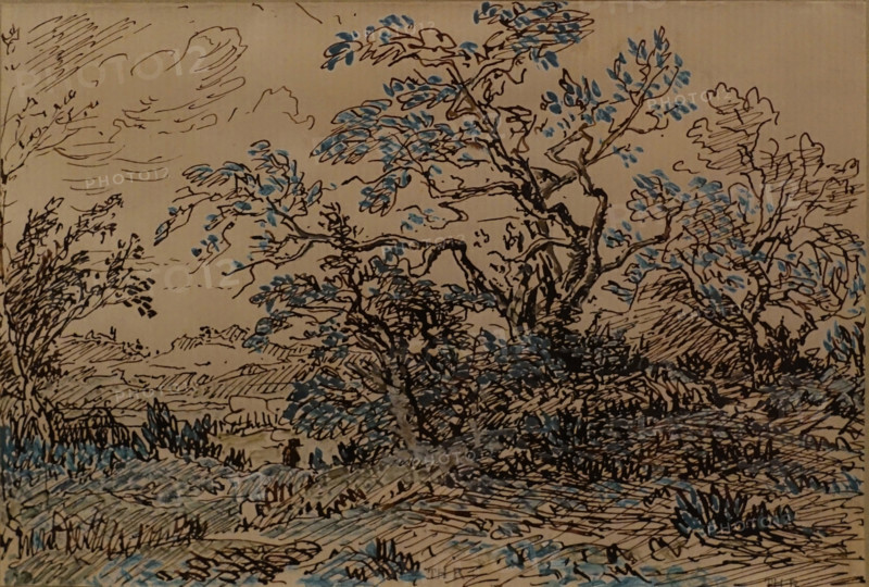 Trees Circa 1853 Théodore Rousseau (1812-1867)