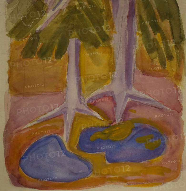 Roots 1912 Elena Genrikhovna Guro (1877-1913)