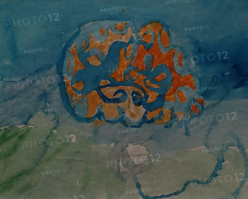 Stone in the Water