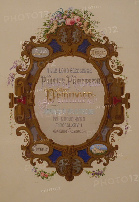 New Year's greetings to the princes Demidov.