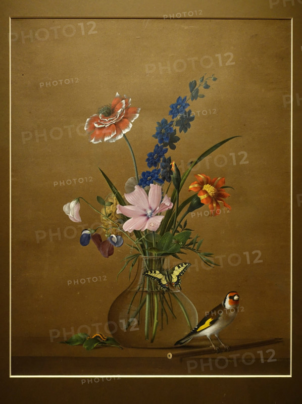 Bunch of Flowers, a Butterfly and a Bird.
