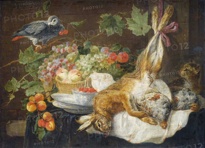 Hare, Fruit and Parrot.