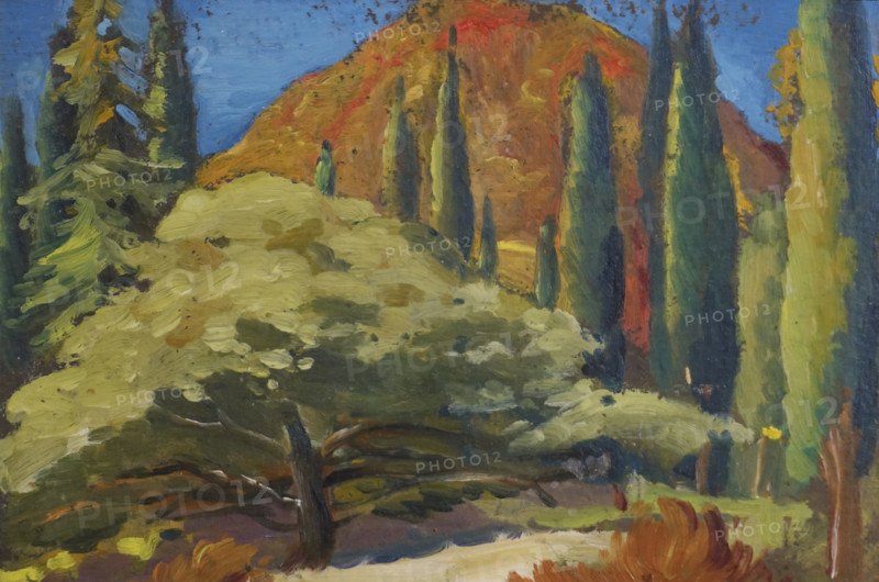Landscape with Cypresses.