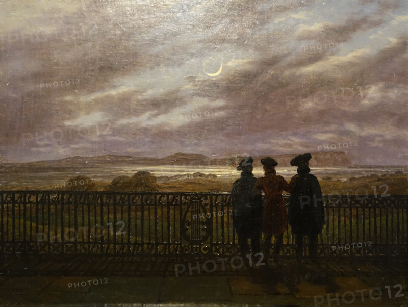 Zhukovsky Vasily Andreevich and the Turgenev brothers - Alexander Ivanovich and Sergei Ivanovich.