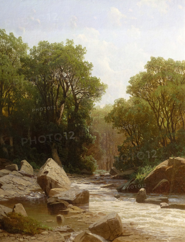 Mountain river.