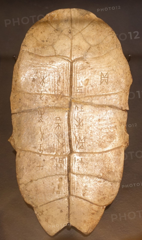 Divinatory tortoise shell.