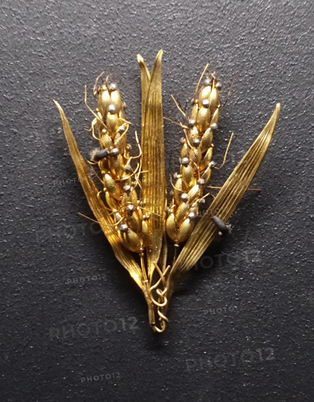 Jewelry for hairstyle.