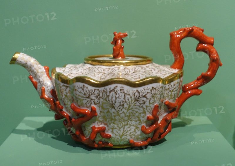 Teapot. Tea set with corals.