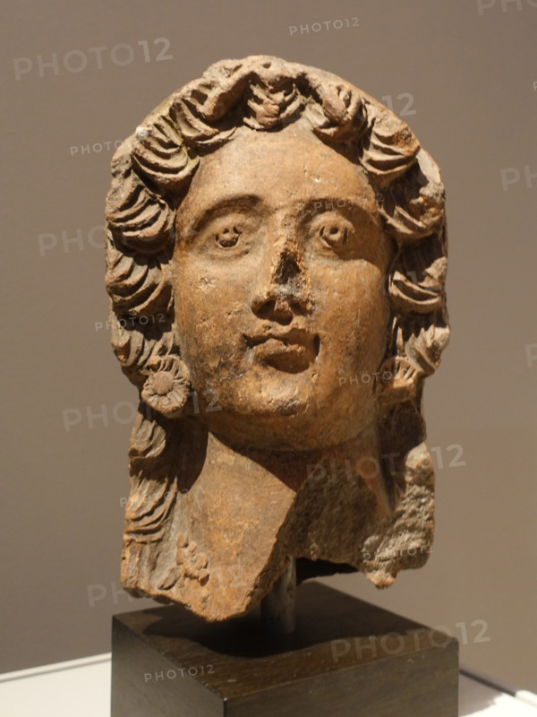 Head of a woman.