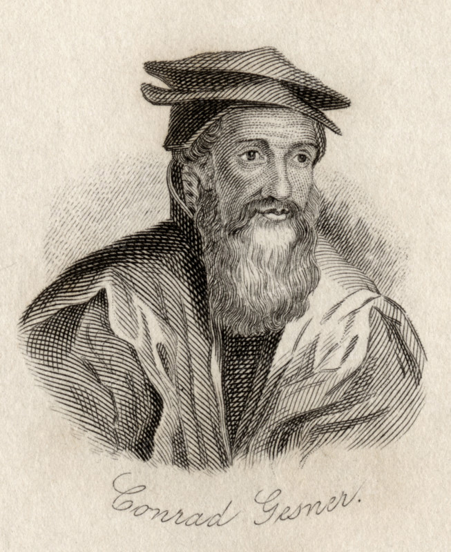 Conrad Gesner