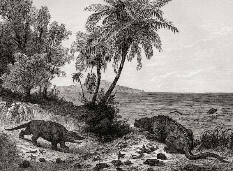 Chalk-age landscape. Print from the 1870's.